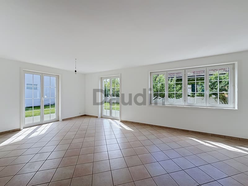 Charming individual villa in Chêne-Bourg (4)