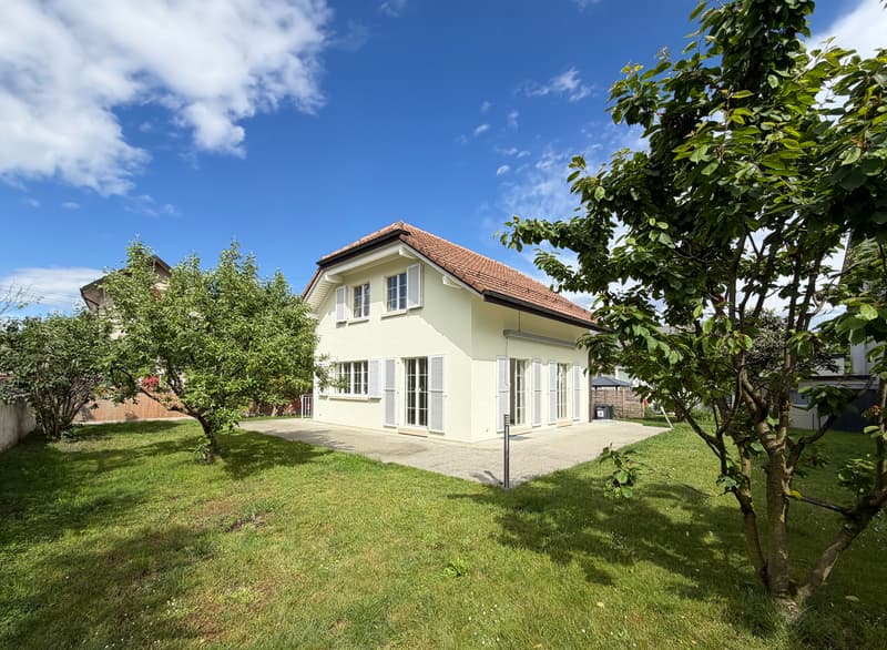 Charming individual villa in Chêne-Bourg (1)