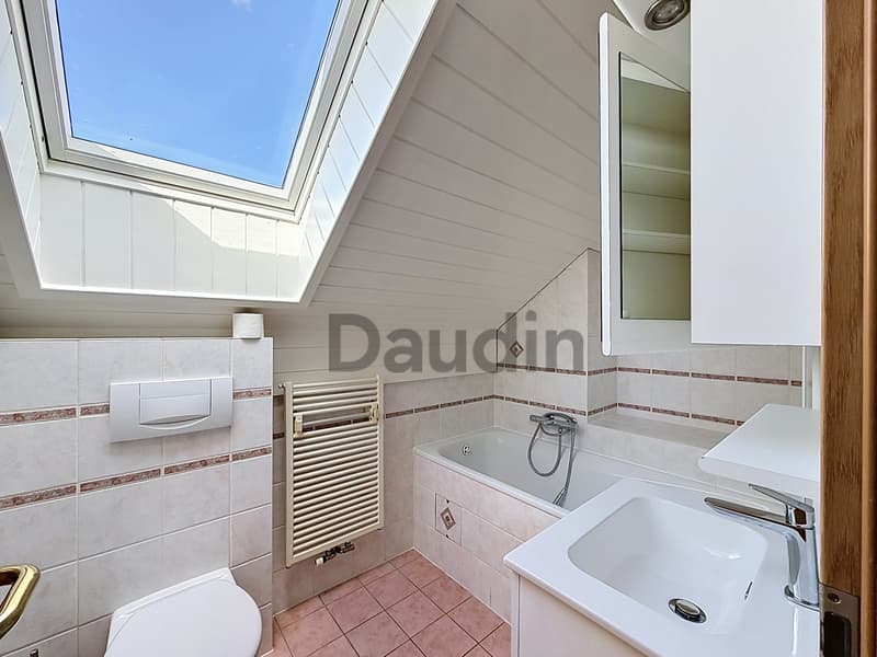 Charming individual villa in Chêne-Bourg (7)