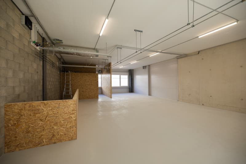 Atelier neuf sur 2 niveaux - Promotion Quarz'up à Vernier (3)