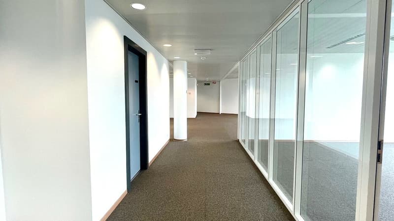 Vastes locaux administratifs en étages élevés et partiellement loués. (5)