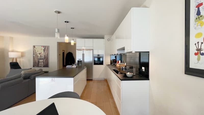 Lot de 2 appartements - Crêts de Champel! (1)