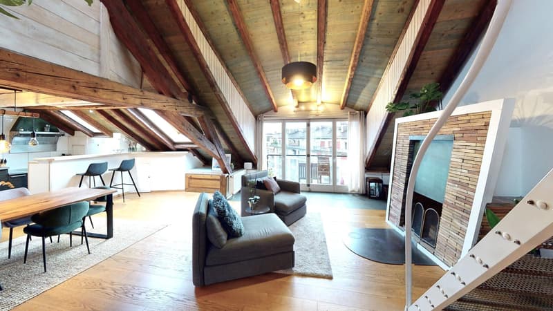 Genève centre  -  CHF 9'300,- / m2 PPE (2)