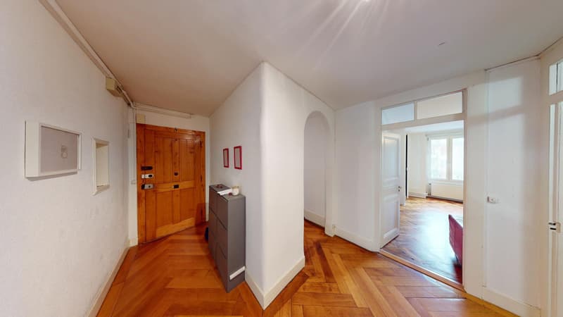 Genève centre  -  CHF 9'300,- / m2 PPE (3)