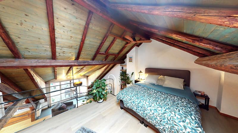 Genève centre  -  CHF 9'300,- / m2 PPE (6)