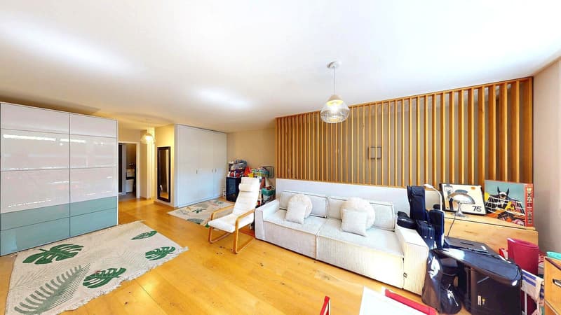 TRIPLEX AVEC REZ-INFÉRIEUR - TERRASSE - PARKINGS EN SOUS-SOL (7)