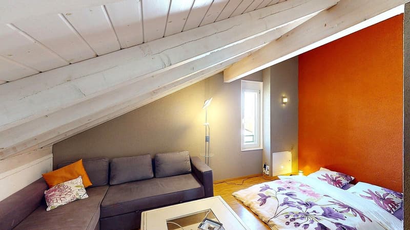 Spacieuse - En pignon - Jardin et double garage. (6)