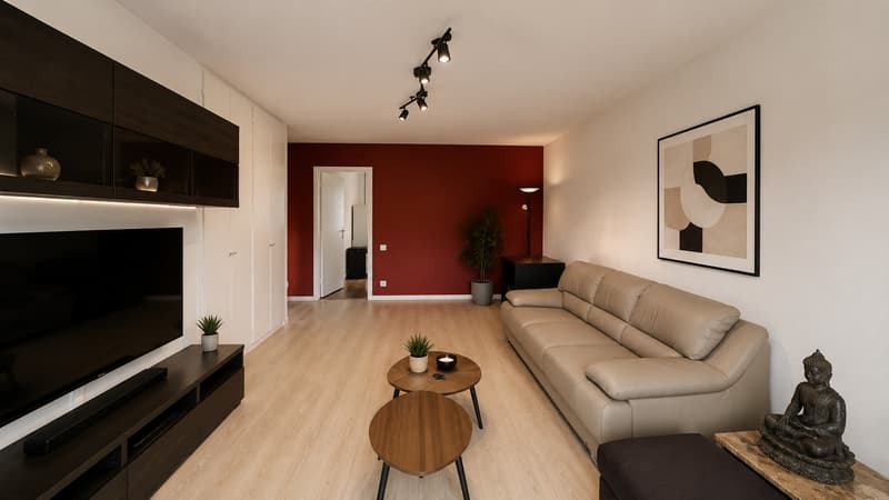 EXKLUSIVITÄT & CASATAX - Charmantes 3.5-Zimmer-Wohnung im Herzen von Genf! (3)