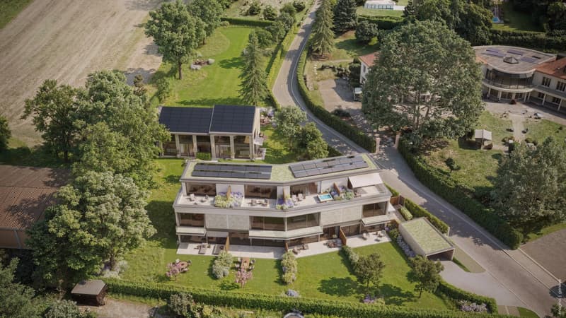 Six exceptional villas in a green setting (7)