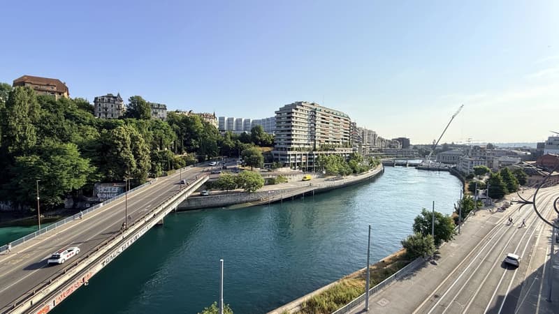 EXCLUSIVITY & CASATAX - Charming 3.5-room located in the heart of Geneva! (2)