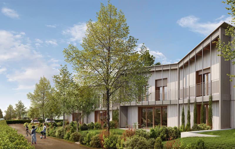 Contemporary villa - THPE Minergie-P and enforceable authorization (3)