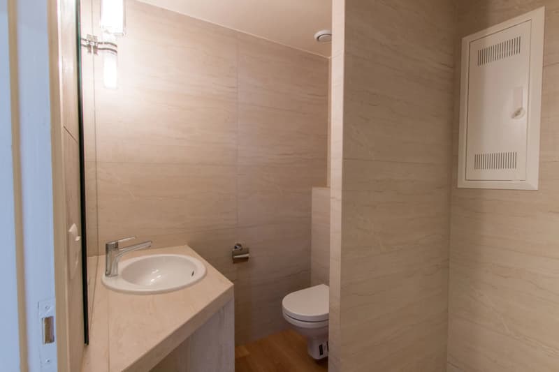 Lot of 2 apartments - Crêts de Champel! (11)
