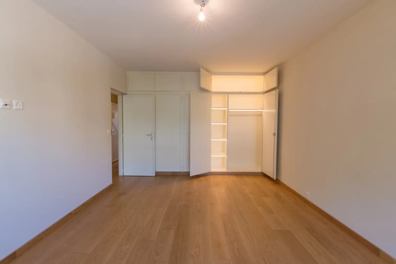 Lot of 2 apartments - Crêts de Champel! (13)