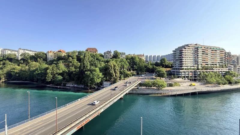 EXCLUSIVITY & CASATAX - Charming 3.5-room located in the heart of Geneva! (3)