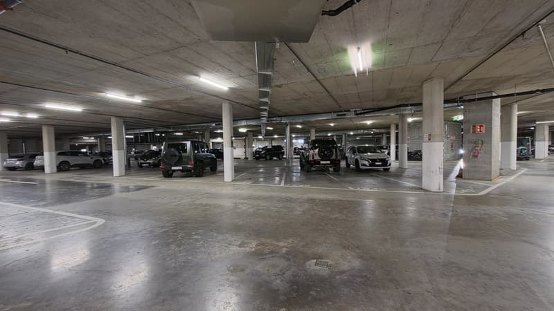 Spacious offices renovated on a high floor ? Blandonnet (8)