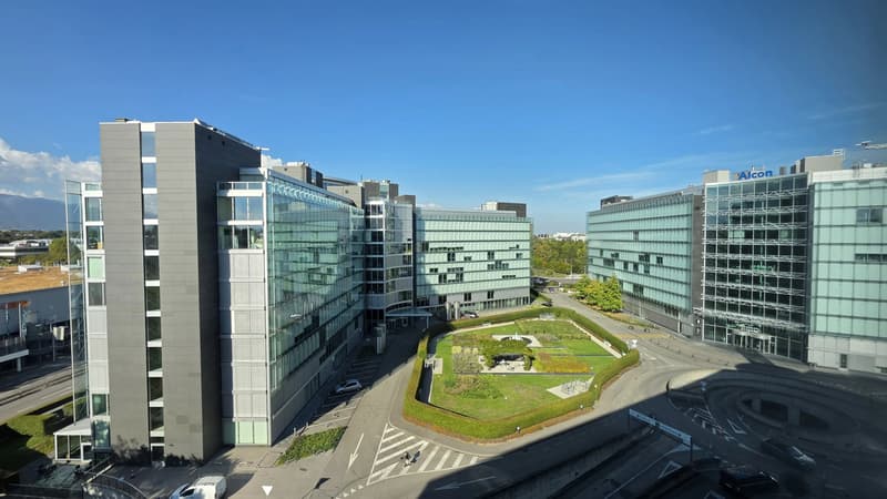 Spacious offices renovated on a high floor ? Blandonnet (1)