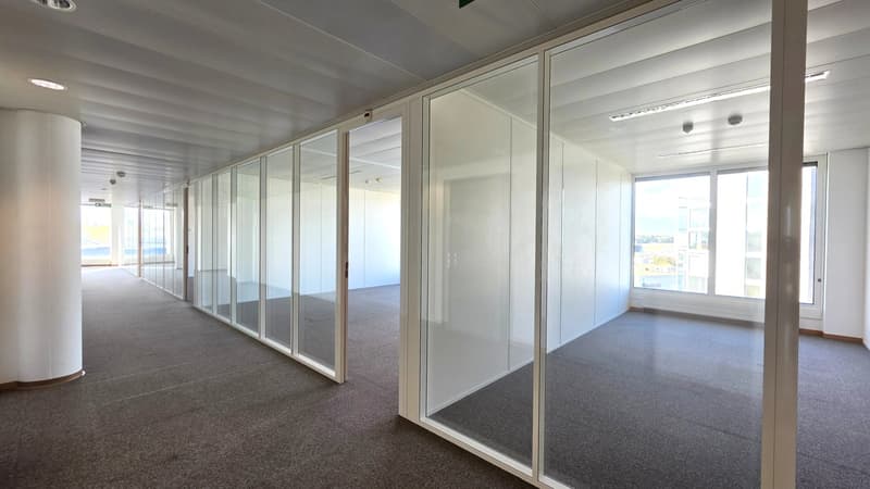 Spacious offices renovated on a high floor ? Blandonnet (4)