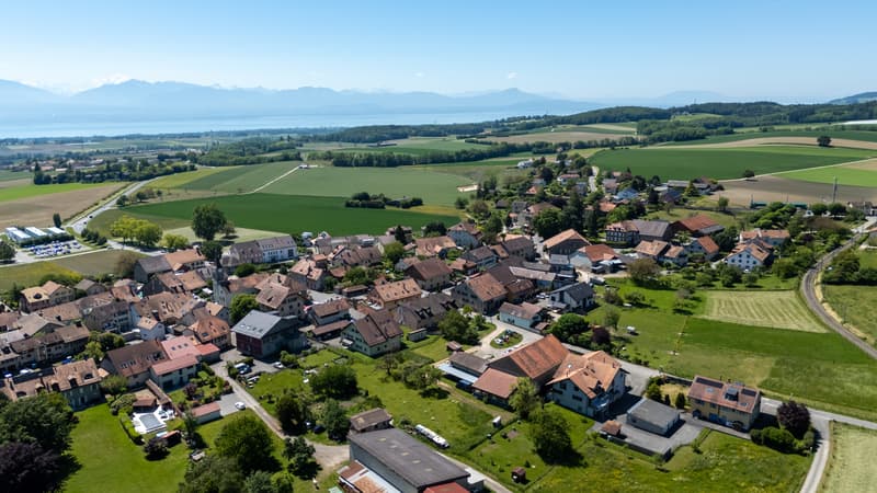 DJI_20260522120256_0022_D.jpg