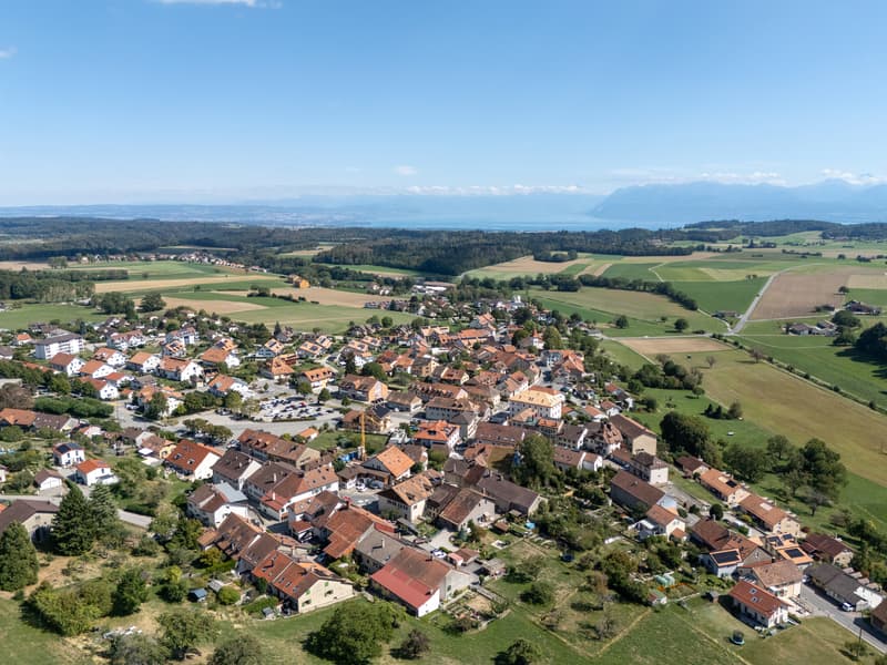 dji_20260911142529_0307_d.jpg