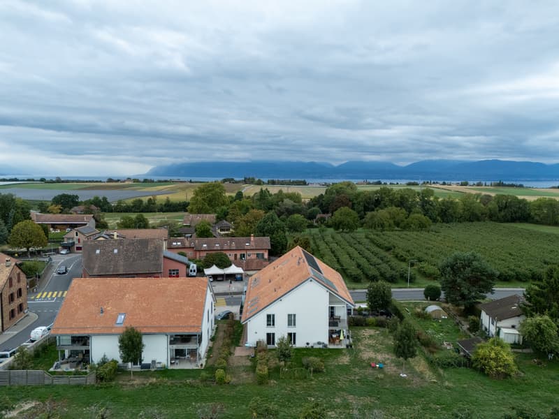 dji_20260916162838_0015_d.jpg