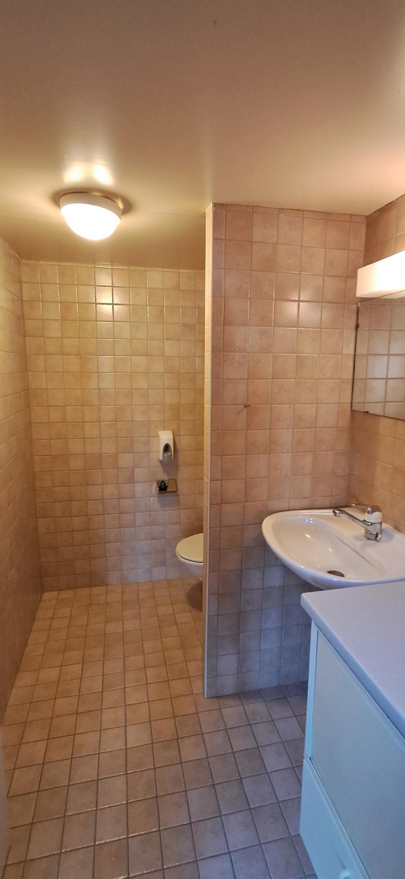 Bathroom with shower, toilet, washbasin, and cabinet