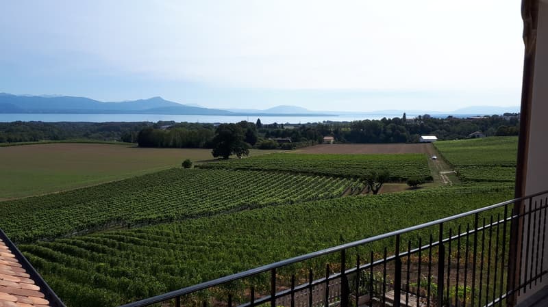 Appartamento luminoso di 4.5 locali con vista panoramica a Lavigny (1)