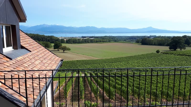 Helles 4.5-Zimmer-Wohnung mit Panoramablick in Lavigny (3)