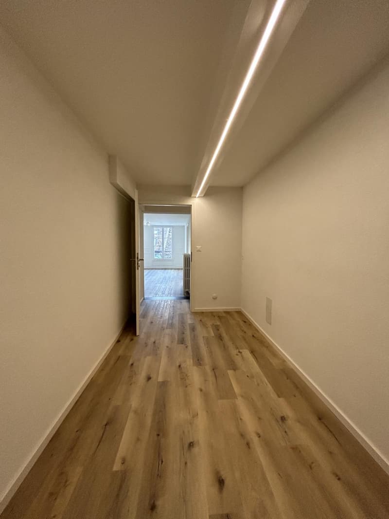 GRANDE APPARTAMENTO DI 3 LOCALI LUMINOSO (10)
