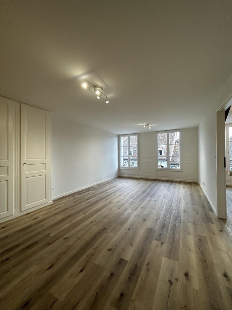 GRANDE APPARTAMENTO DI 3 LOCALI LUMINOSO (8)