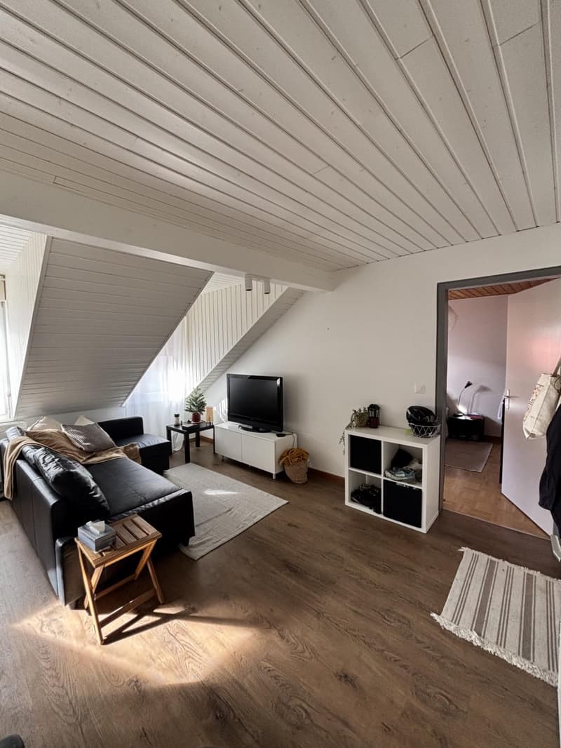 2,5 möblierte Zimmer im Herzen von Rolle (1)