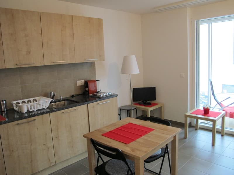 Appartement mit 1,5 Zimmern (37,5 m2 + große, abgeschlossene Veranda von 17 m2) (3)
