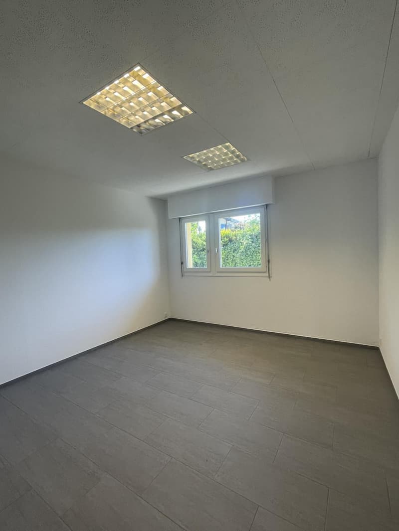 In Affitto ? Ufficio / Locale Professionale a Bogis-Bossey (2)
