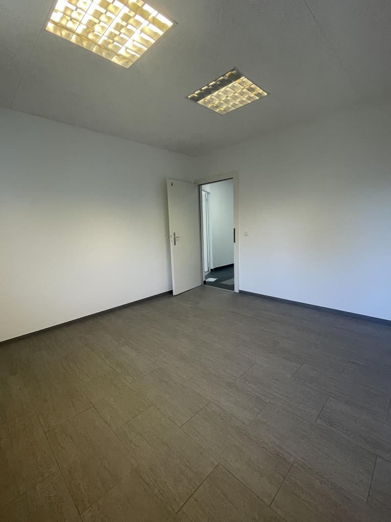 In Affitto ? Ufficio / Locale Professionale a Bogis-Bossey (4)