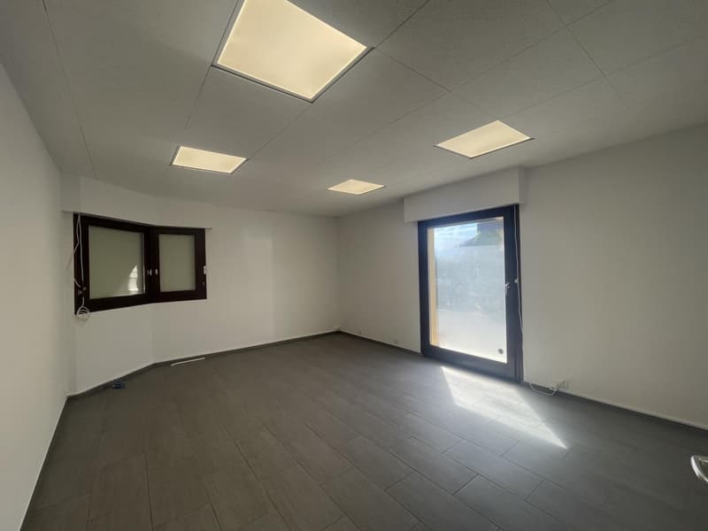 In affitto? Ufficio / Locale professionale a Bogis-Bossey (1)