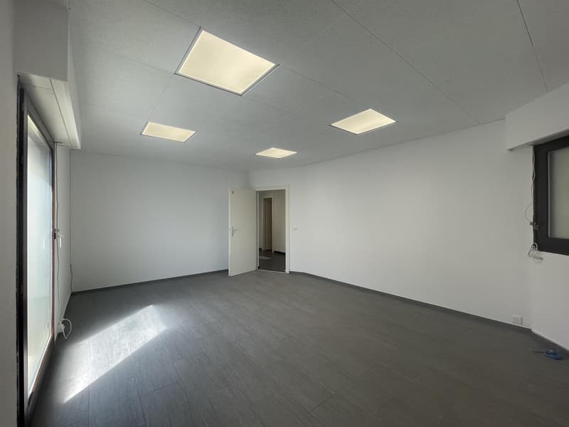 In affitto? Ufficio / Locale professionale a Bogis-Bossey (2)