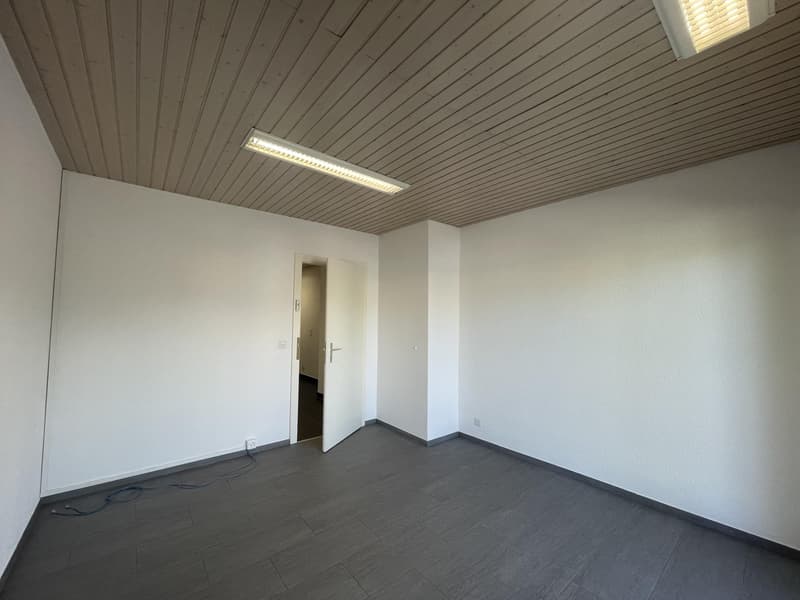 In affitto? Ufficio / Locale professionale a Bogis-Bossey (3)
