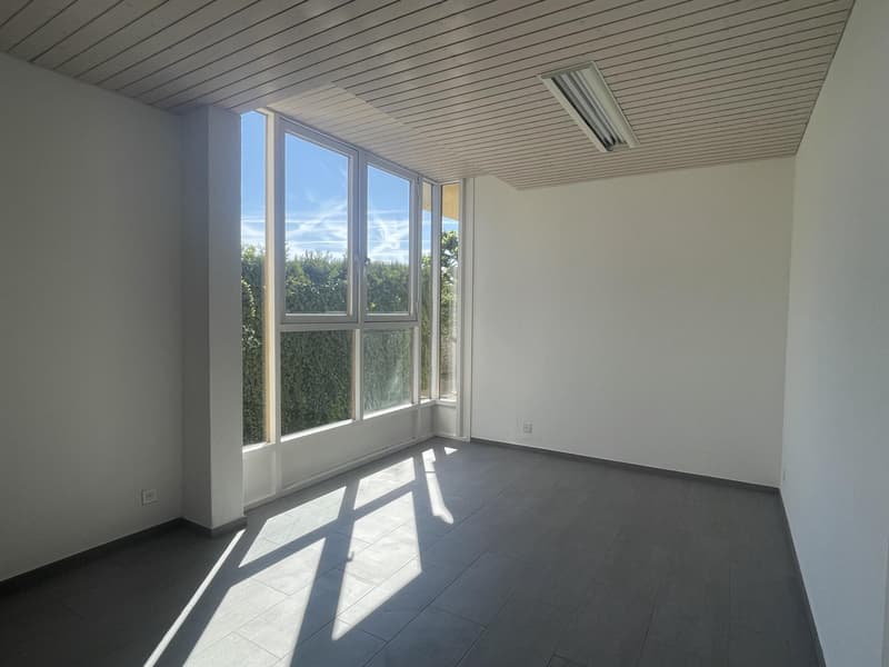 In affitto: Ufficio / Spazio professionale a Bogis-Bossey (1)