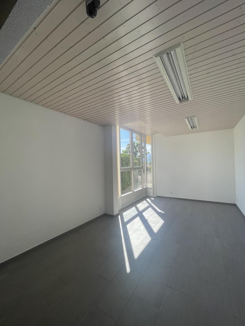 In affitto: Ufficio / Spazio professionale a Bogis-Bossey (3)