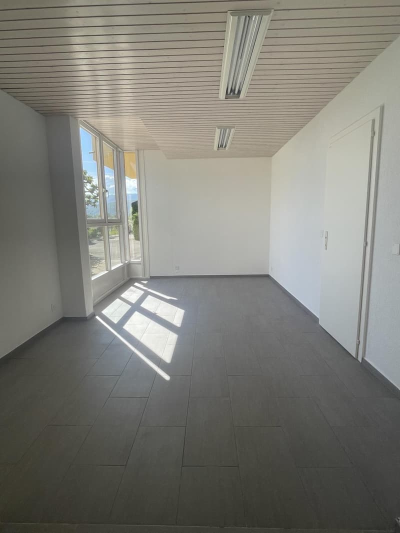 In affitto: Ufficio / Spazio professionale a Bogis-Bossey (2)