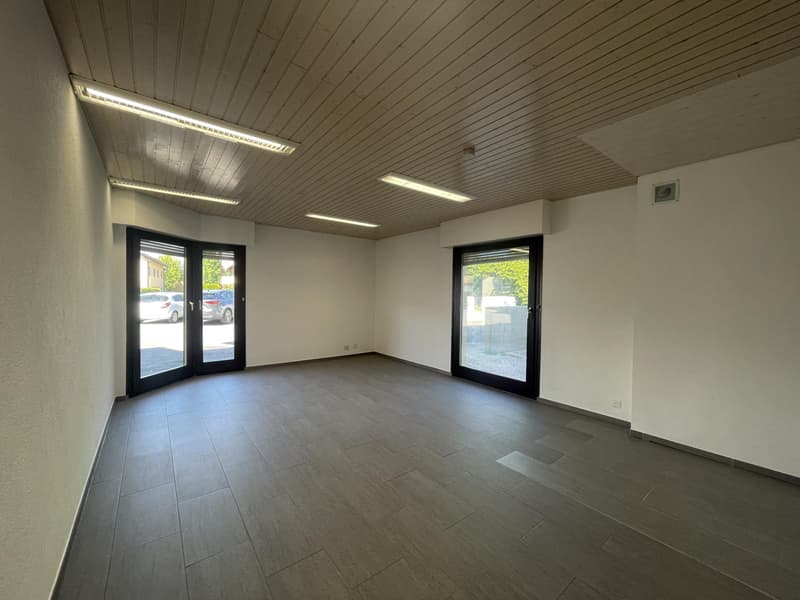In affitto? Ufficio / Locale professionale a Bogis-Bossey (2)