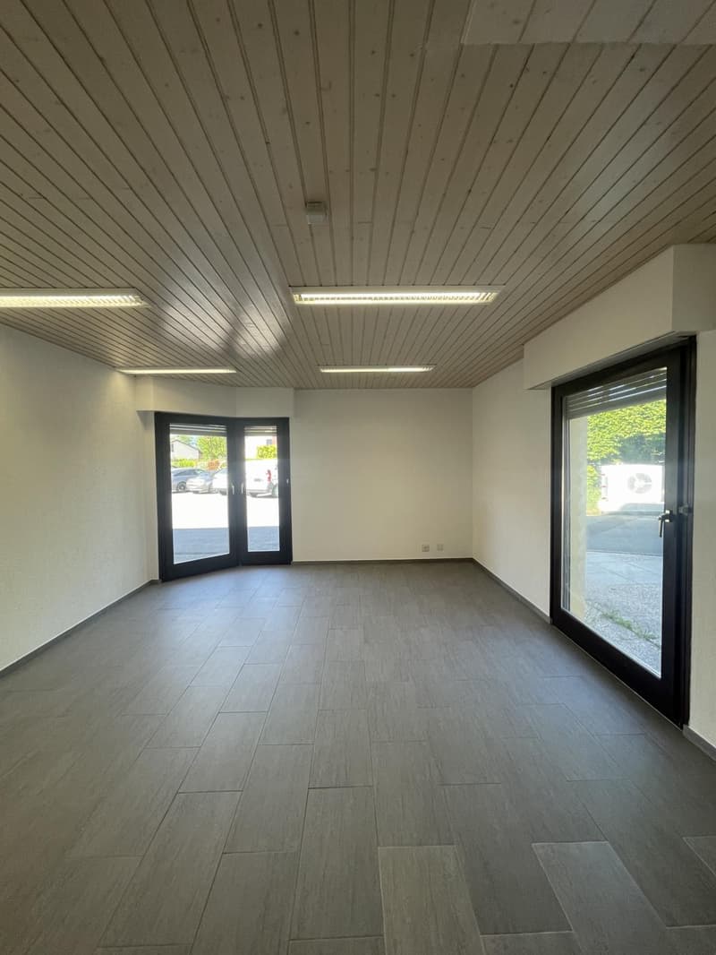 In affitto? Ufficio / Locale professionale a Bogis-Bossey (3)