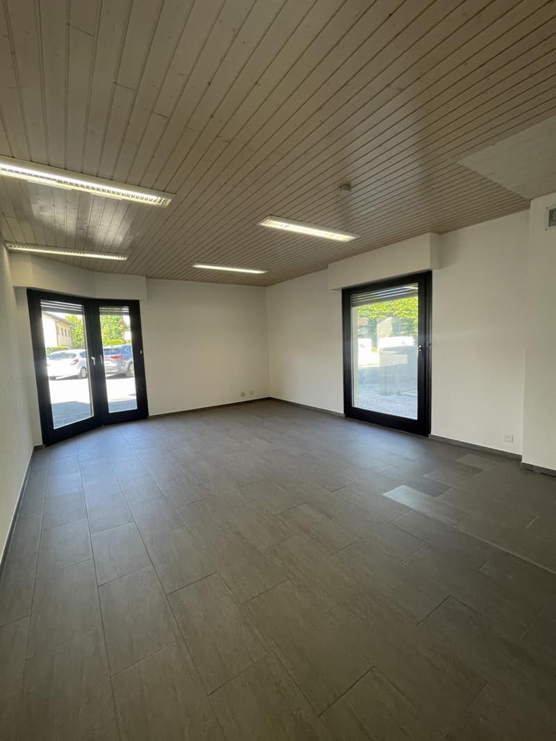 In affitto? Ufficio / Locale professionale a Bogis-Bossey (4)