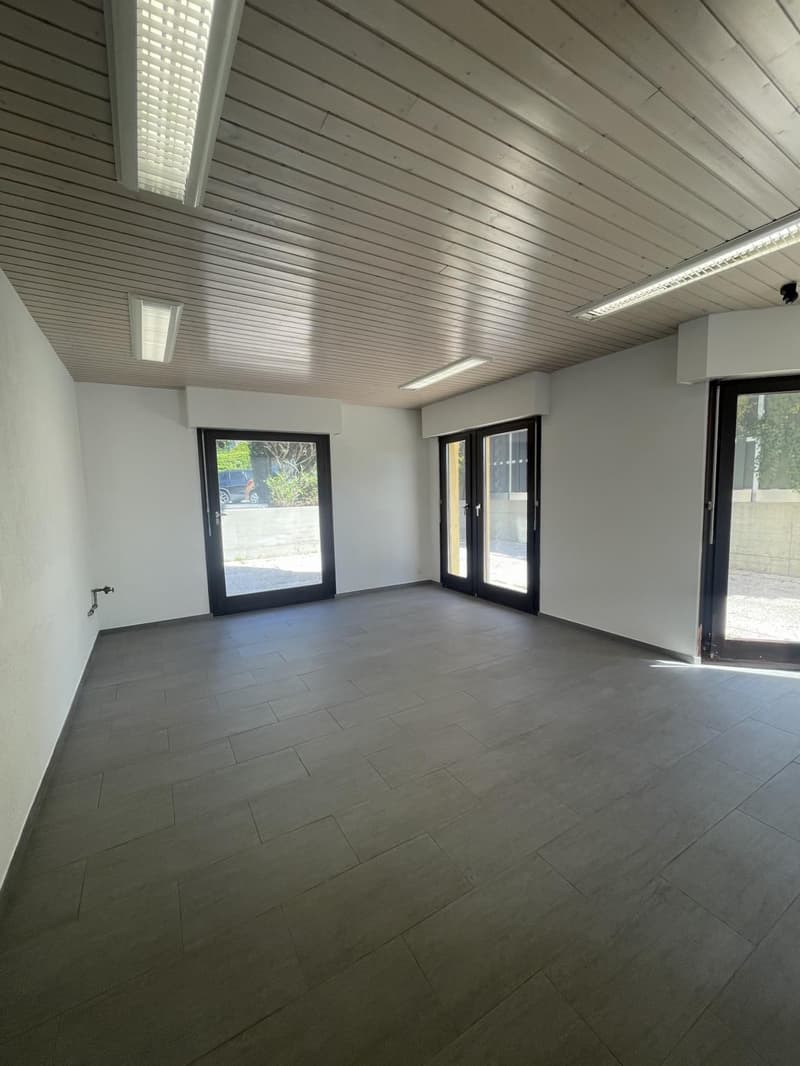 In affitto: Ufficio / Locale professionale a Bogis-Bossey (4)