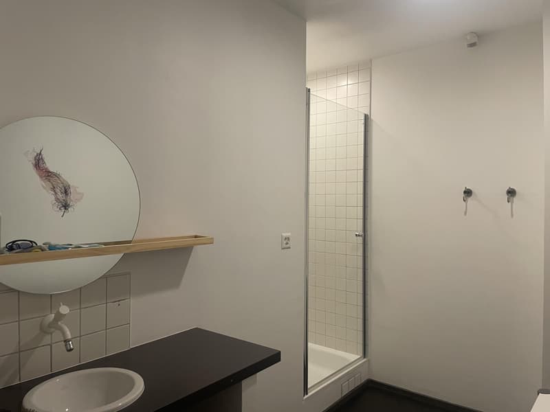 Arcata commerciale di 320 m2 nel cuore di Nyon (10)