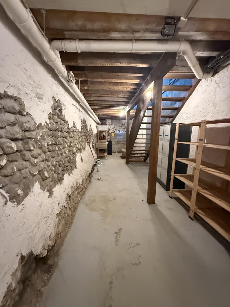 ARCADE COMMERCIAL DI 120 M2NEL CUORE DI NYON (11)