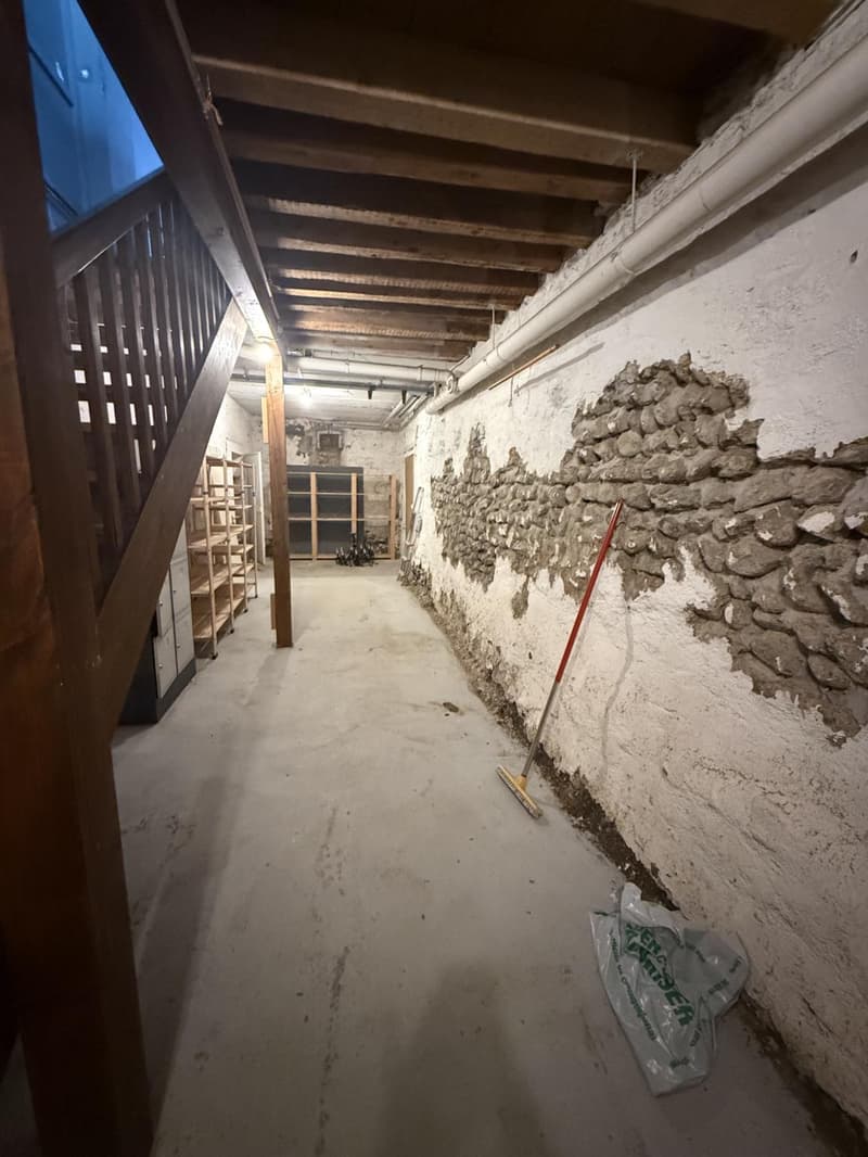 ARCADE COMMERCIAL DI 120 M2NEL CUORE DI NYON (10)