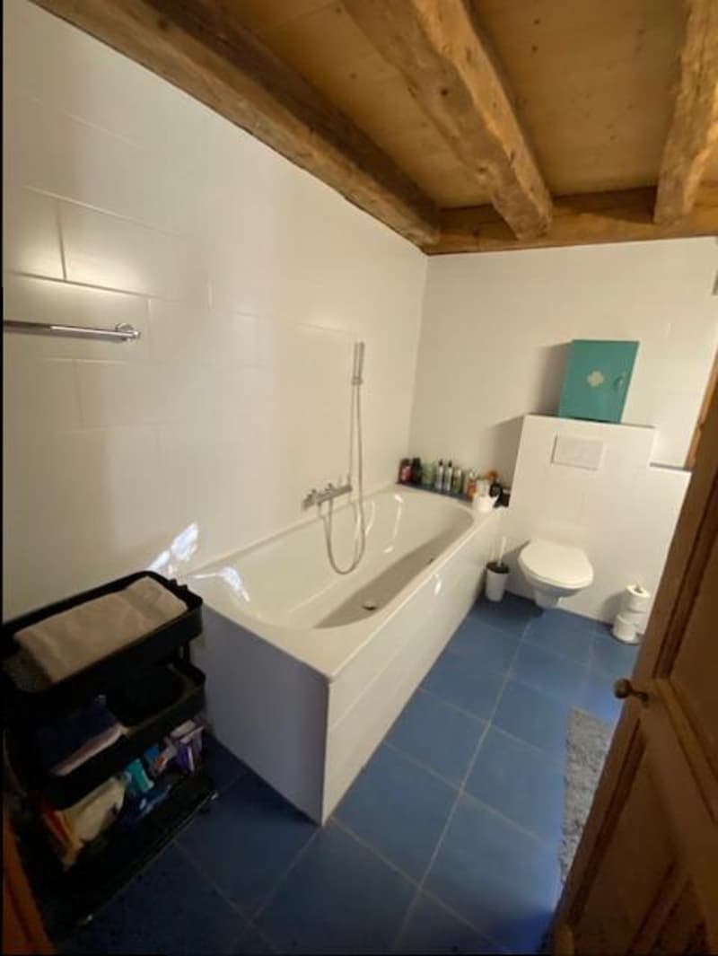 WOHNHAUS IM DORFSTIL - CRANS-PRES-CELIGNY (6 ZIMMER) (9)