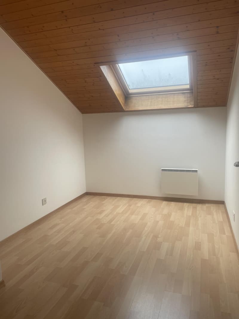 DUPLEX-WOHNUNG - 5 ZIMMER - IN RUHIGER LAGE (13)