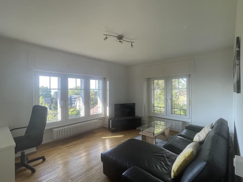 GRAND 2.5 PIECES MEUBLE AVEC VUE SUR LAC (1)