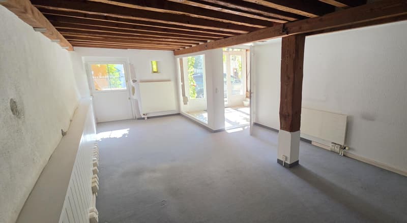 LOCAUX - BUREAUX - 68 M2 - OPEN SPACE - TRELEX (5)